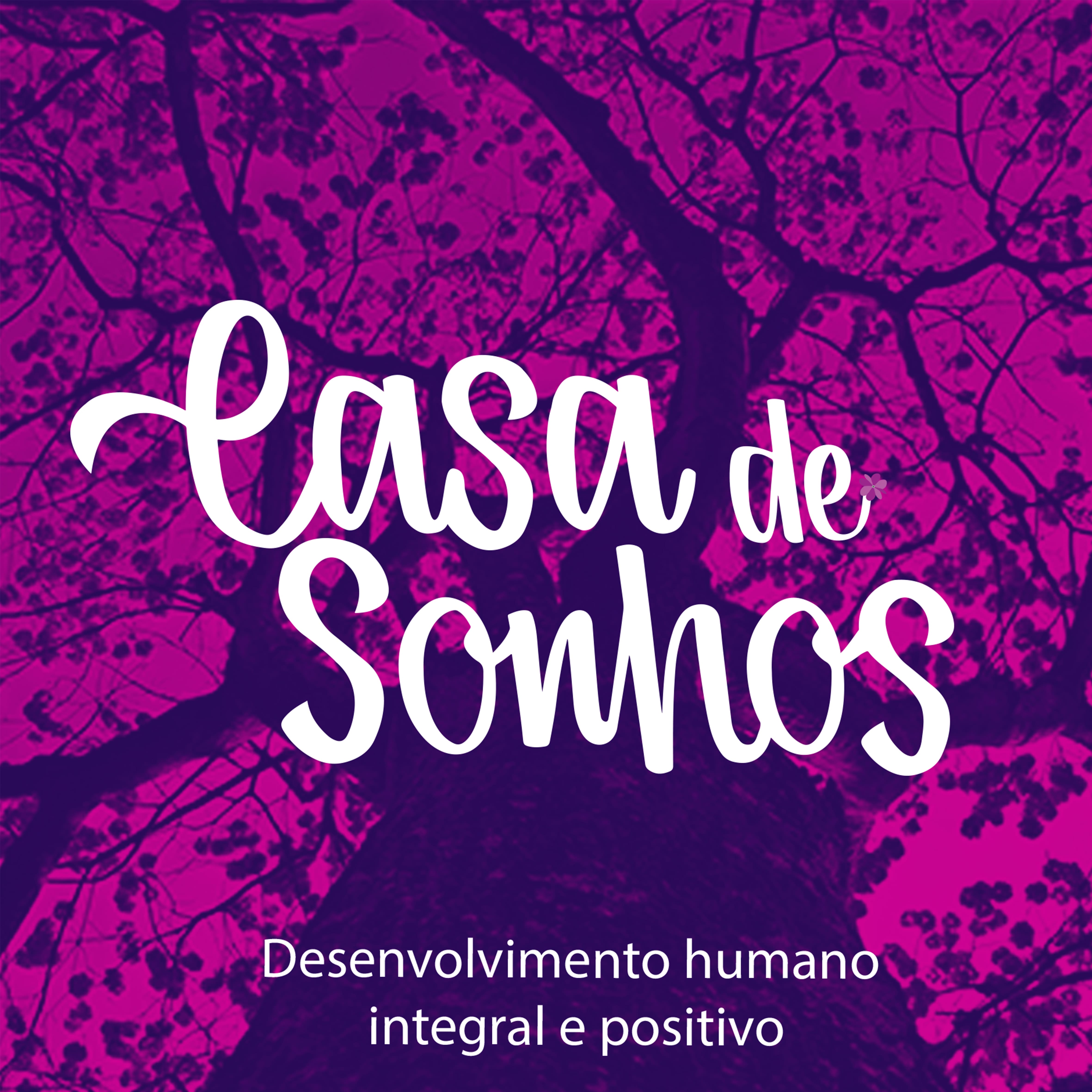 Casa de Sonhos